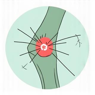 Chirurgie réparatrice vétérinaire
